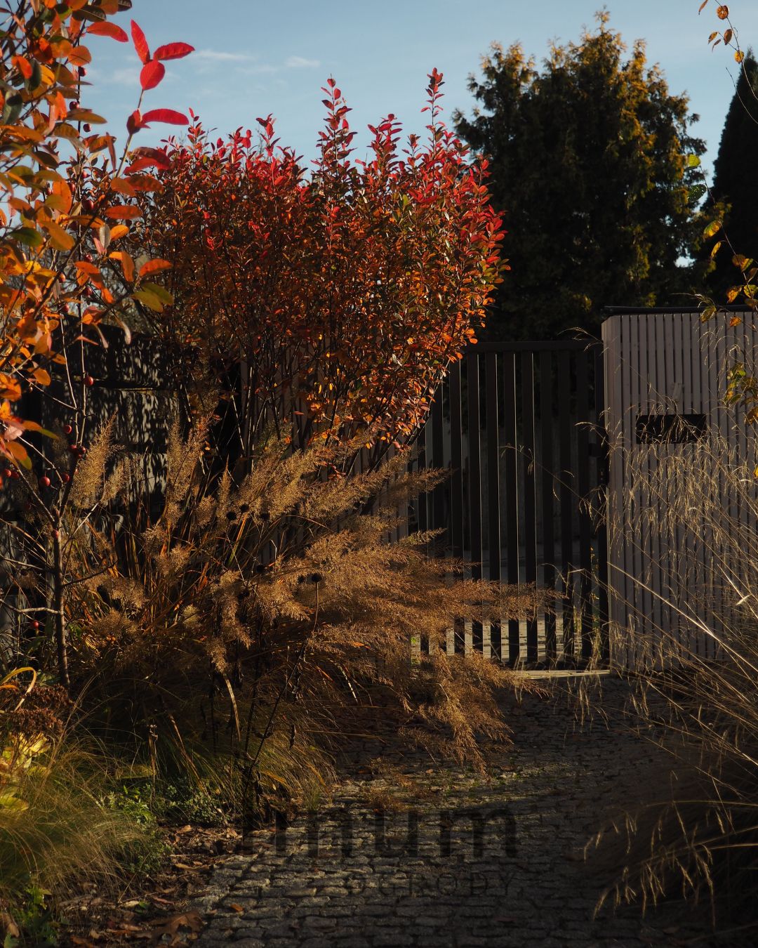 Jesień na rabacie naturalistycznej